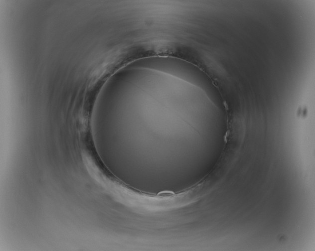 X0000112970039200908271153