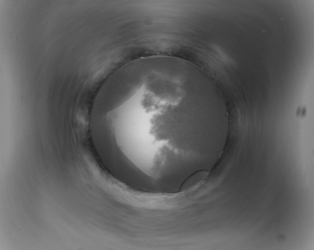 X0000112970040200908271153