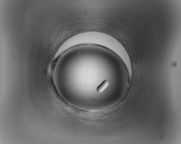 X0000112970041200908271153