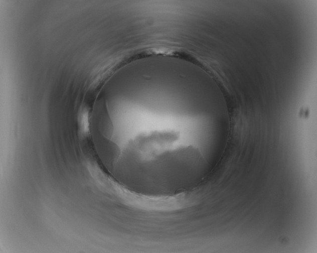 X0000112970042200908271153