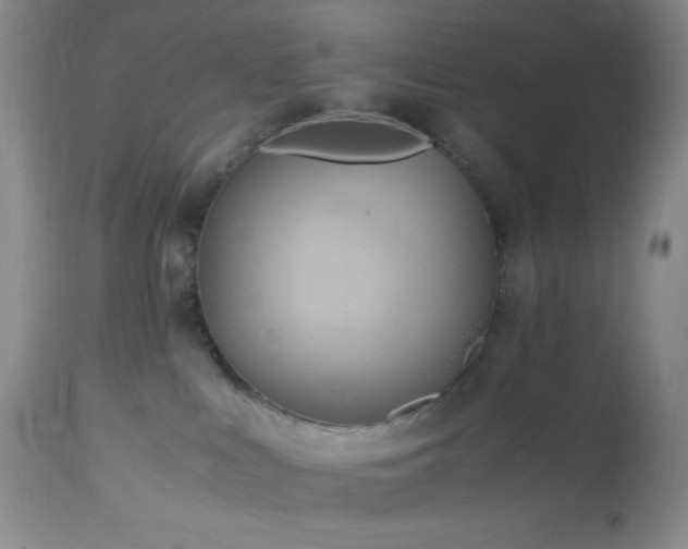 X0000112970043200908271153