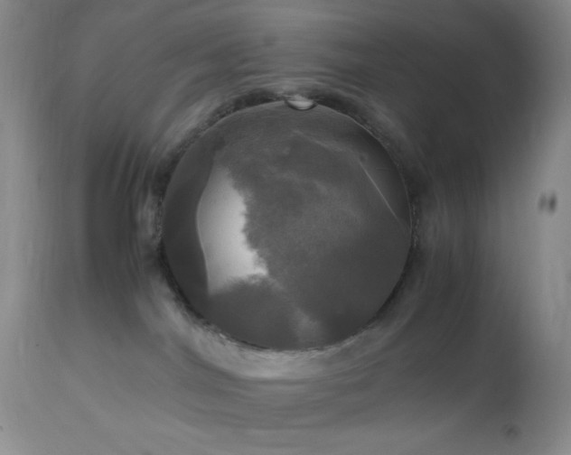 X0000112970044200908271153