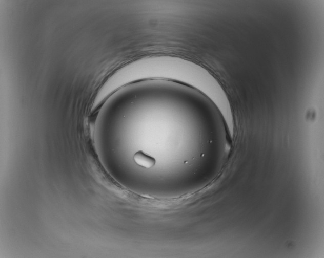 X0000112970045200908271153