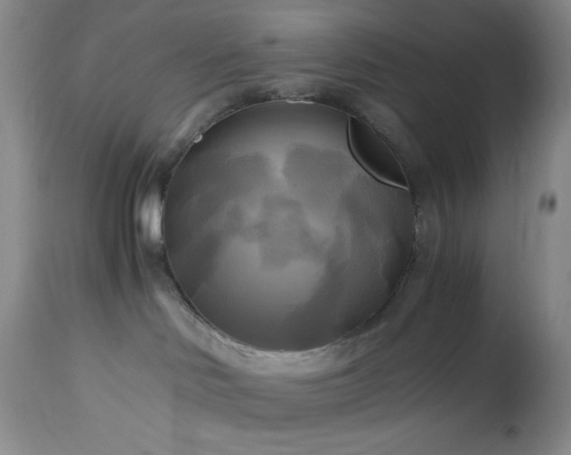 X0000112970046200908271153