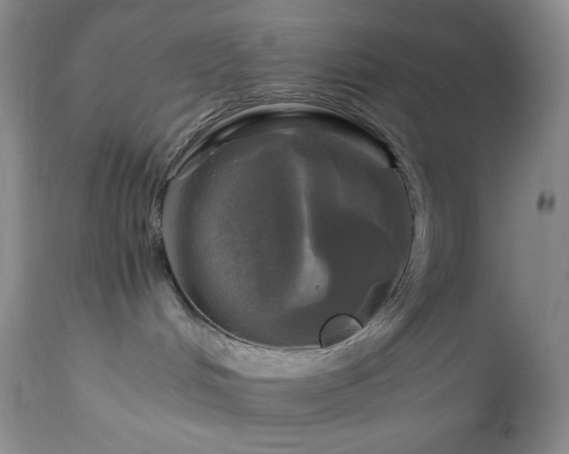 X0000112970048200908271153