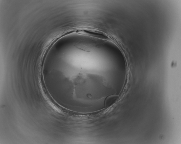 X0000112970049200908271152