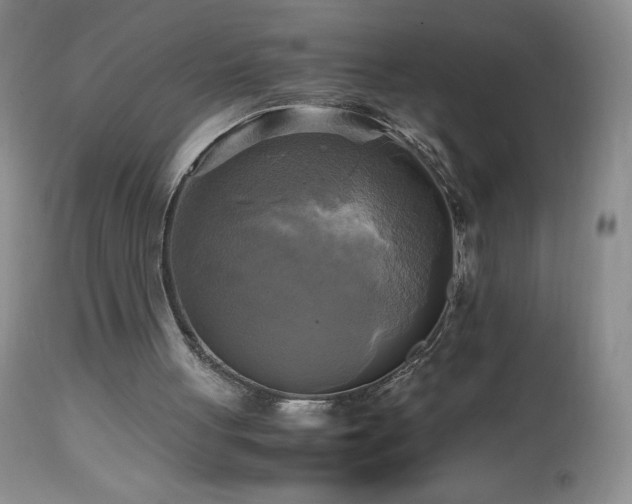 X0000112970051200908271152