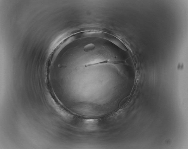 X0000112970053200908271152