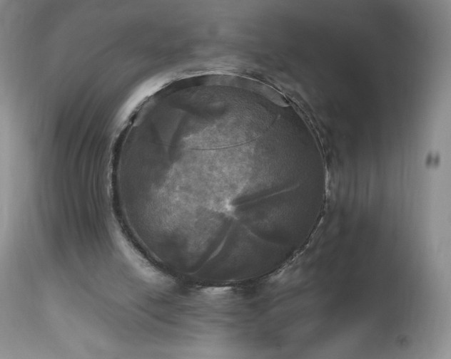 X0000112970054200908271152