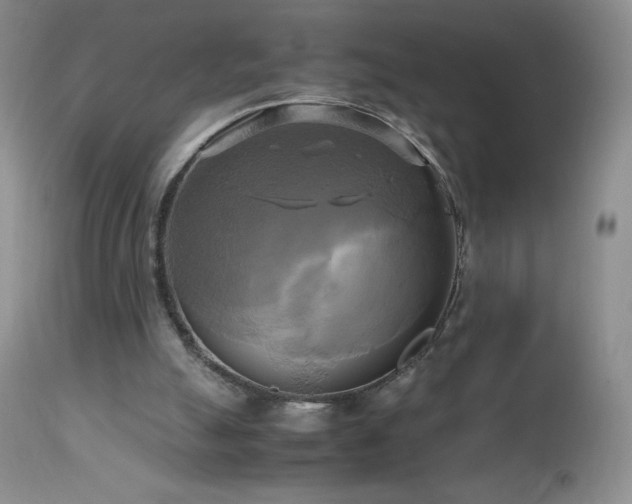 X0000112970055200908271152