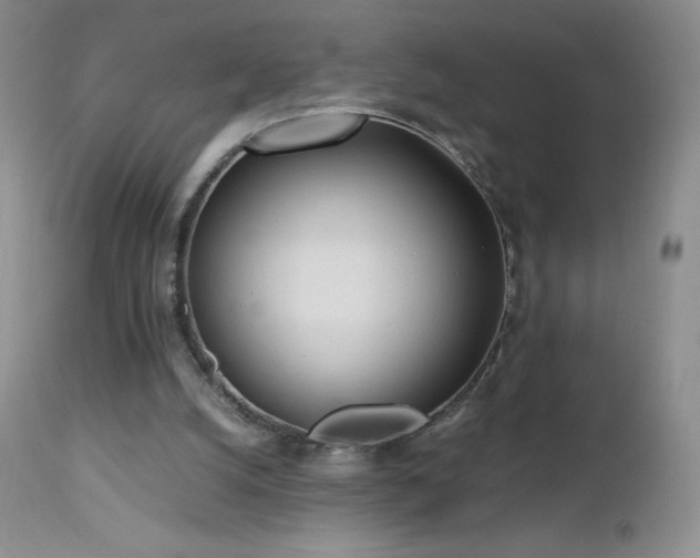 X0000112970056200908271152