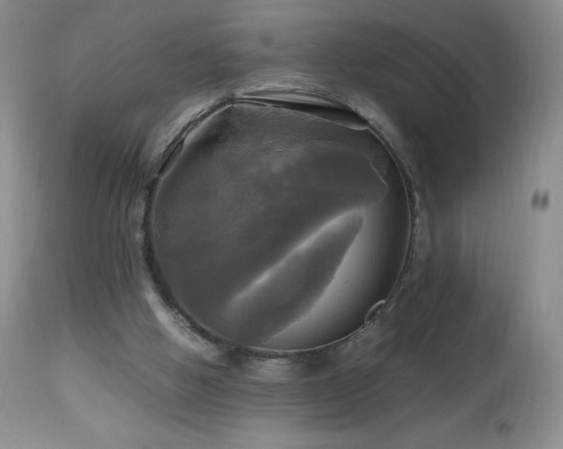 X0000112970058200908271152