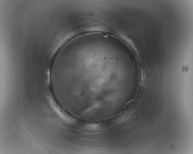 X0000112970061200908271152