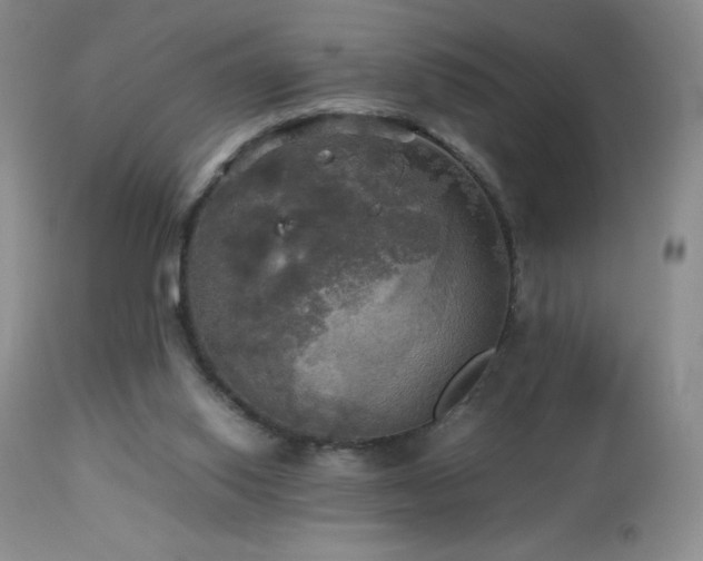 X0000112970062200908271152