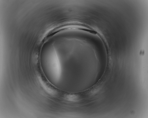 X0000112970063200908271152