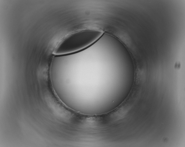 X0000112970064200908271152