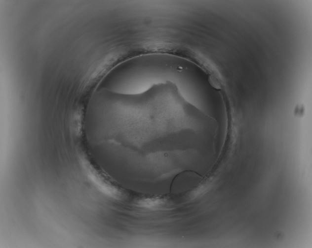 X0000112970065200908271152