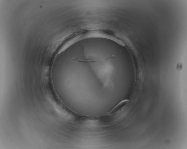 X0000112970066200908271152