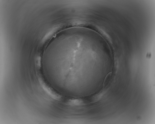 X0000112970067200908271152