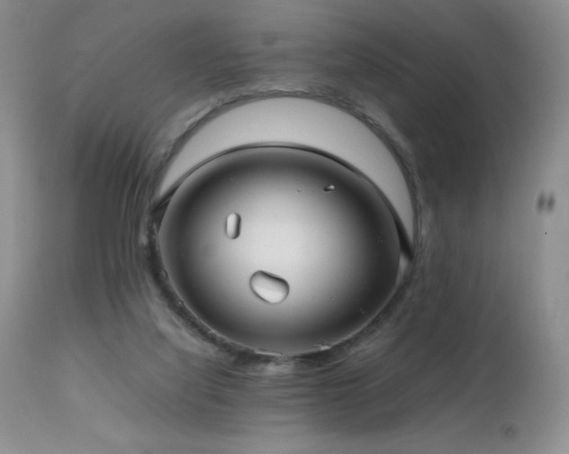 X0000112970068200908271152