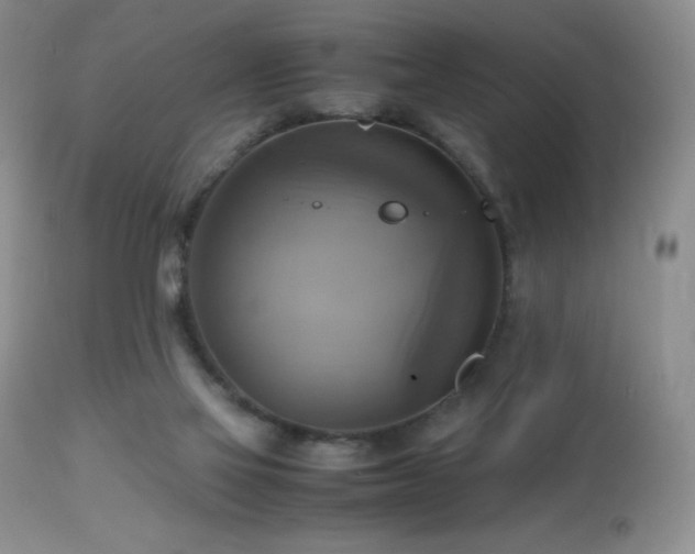 X0000112970069200908271152