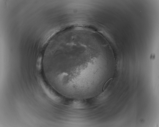 X0000112970070200908271152