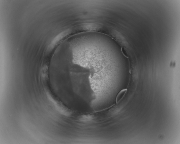 X0000112970071200908271152