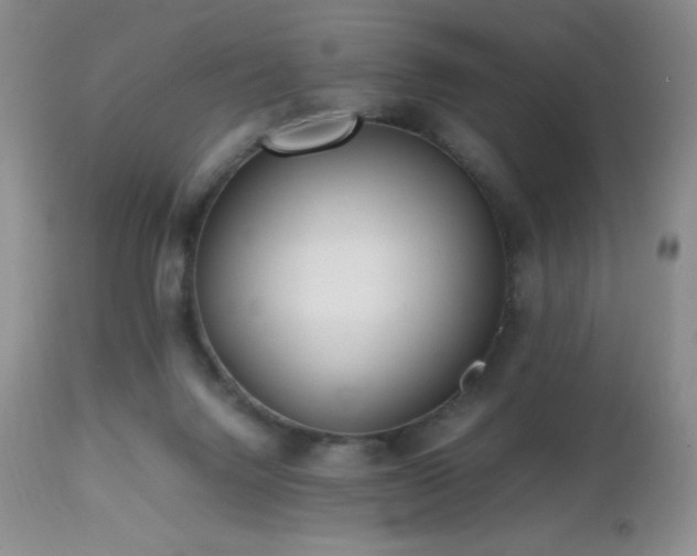 X0000112970072200908271152