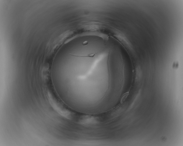 X0000112970073200908271152