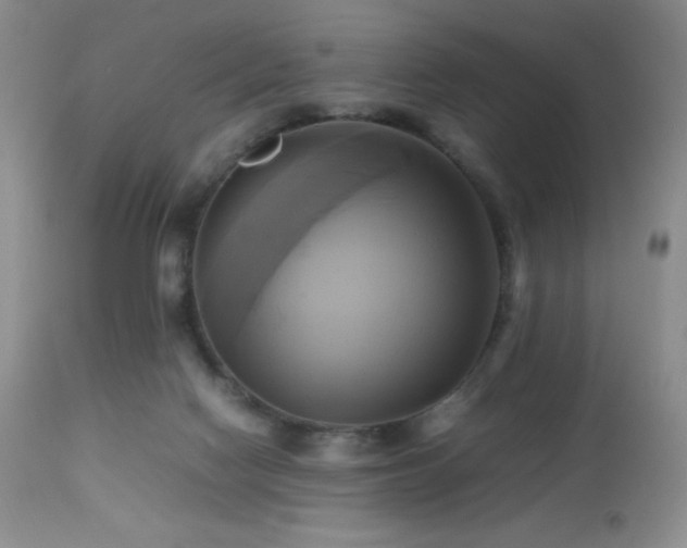 X0000112970074200908271152