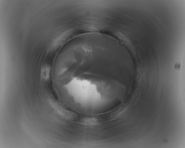 X0000112970075200908271152