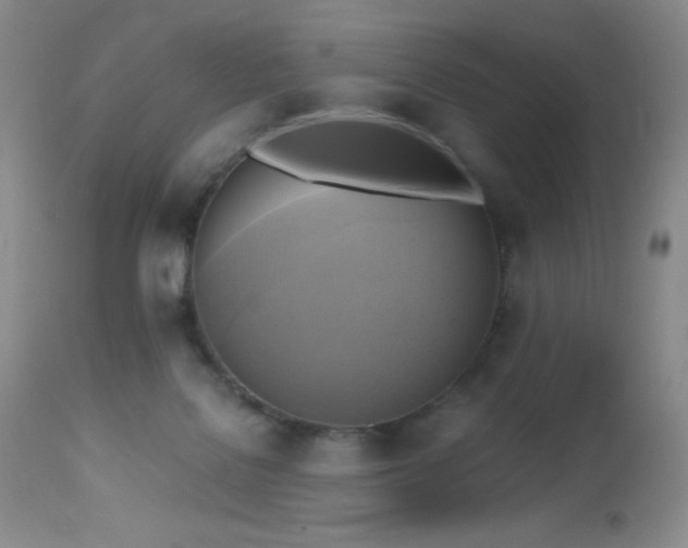 X0000112970076200908271152