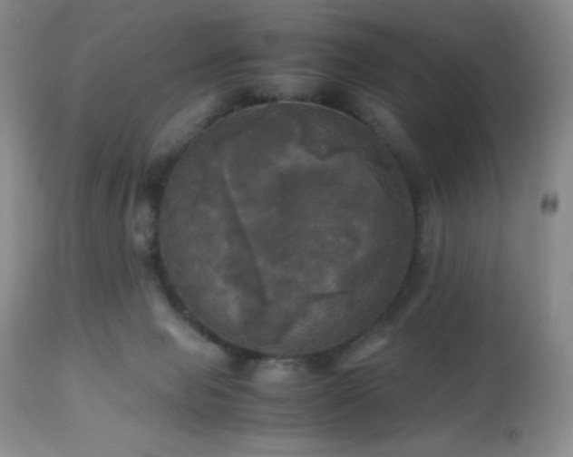 X0000112970077200908271152