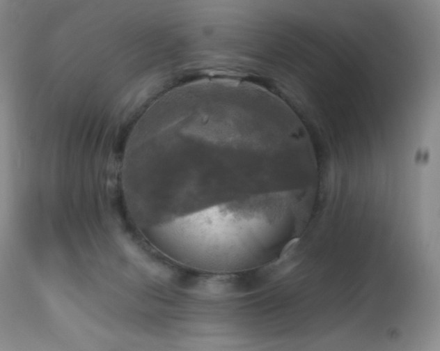 X0000112970078200908271152