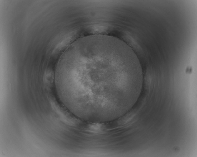 X0000112970079200908271152