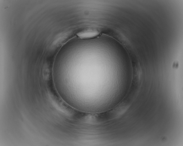 X0000112970080200908271152