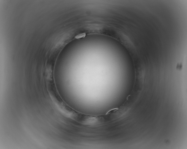 X0000112970083200908271152