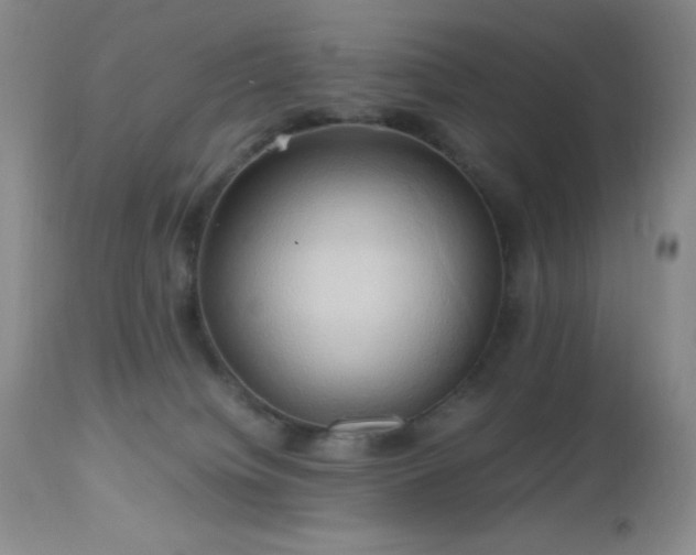 X0000112970084200908271152