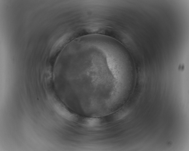 X0000112970085200908271152