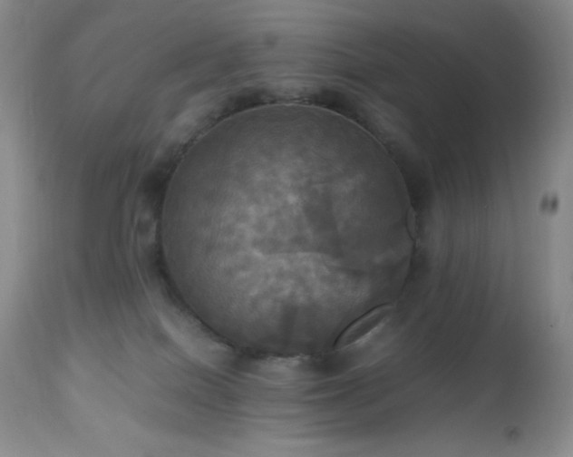 X0000112970086200908271152