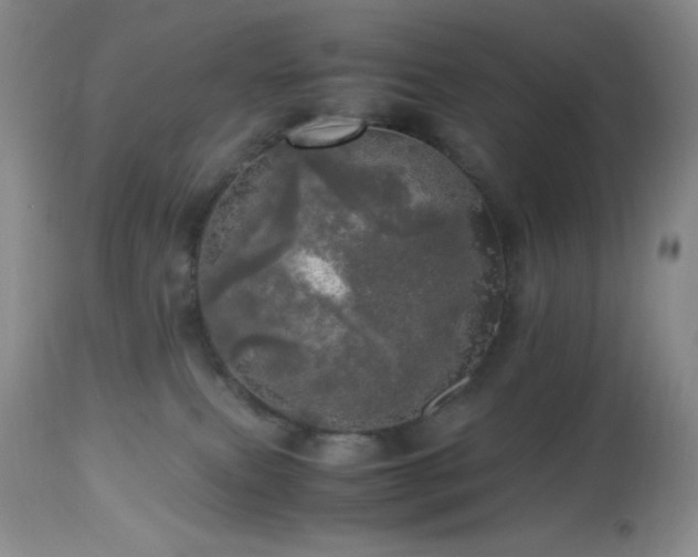 X0000112970087200908271152