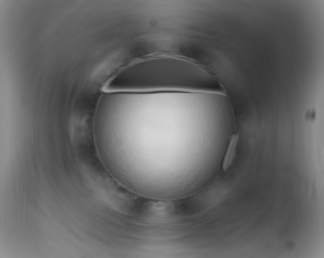 X0000112970088200908271152