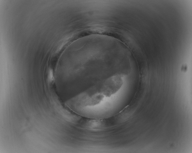 X0000112970089200908271152