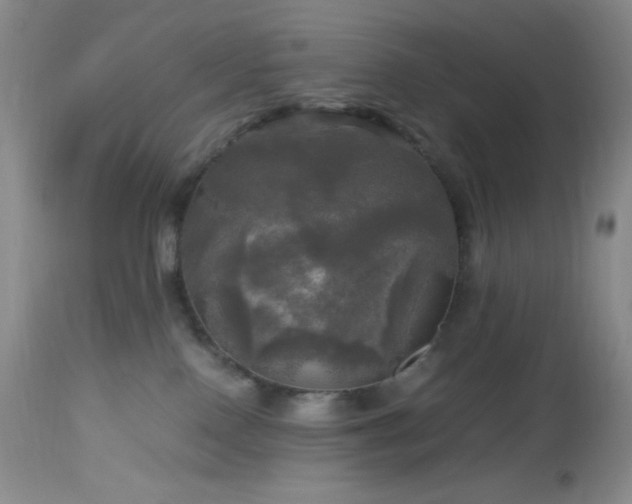 X0000112970090200908271152