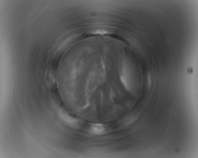 X0000112970091200908271152