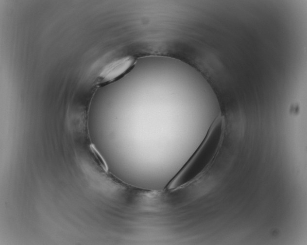 X0000112970092200908271152