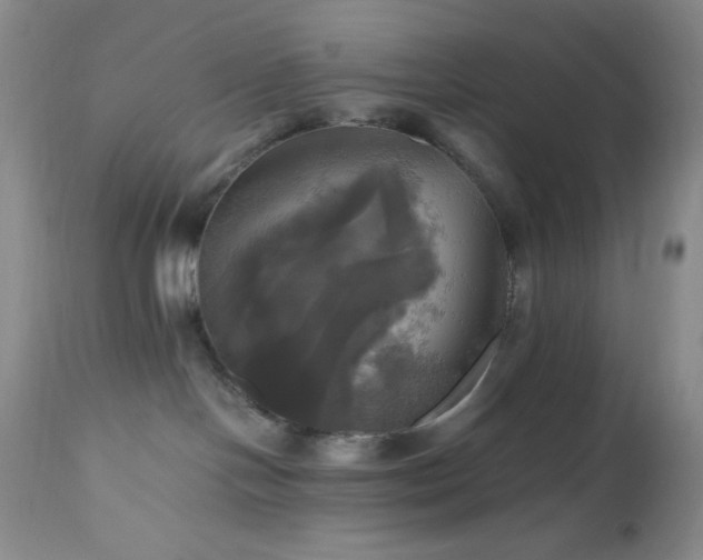 X0000112970094200908271153