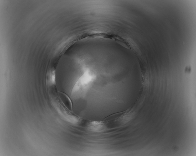 X0000112970095200908271153