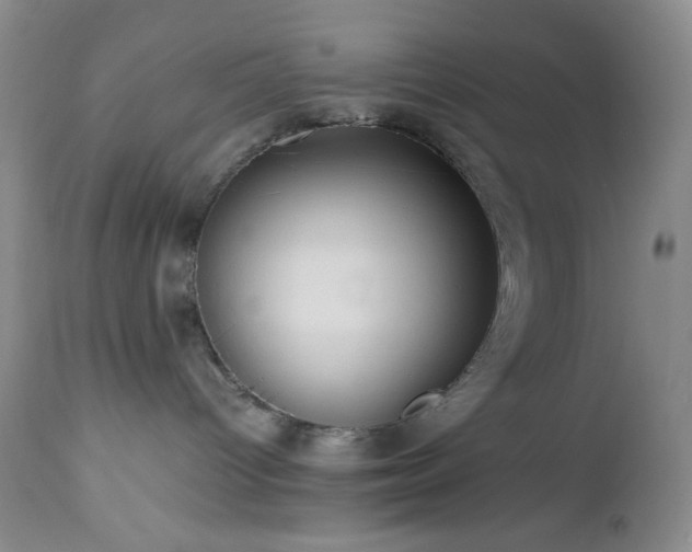 X0000112970096200908271153