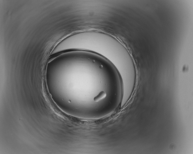 X0000112970097200908271152